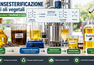 il biodiesel in casa